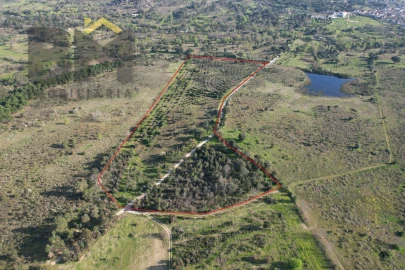 Terreno Agricola ou Rústico para Venda em Aldeia do Bispo, Águas e Aldeia de João Pires