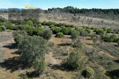 Terreno Agricola ou Rústico para Venda em Aldeia do Bispo, Águas e Aldeia de João Pires