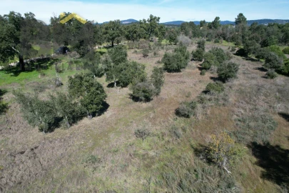 Terreno Agricola ou Rústico para Venda em Aldeia do Bispo, Águas e Aldeia de João Pires