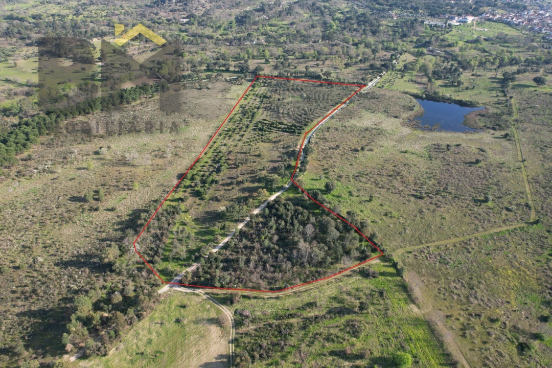 Terreno Agricola ou Rústico para Venda em Aldeia do Bispo, Águas e Aldeia de João Pires Foto 1