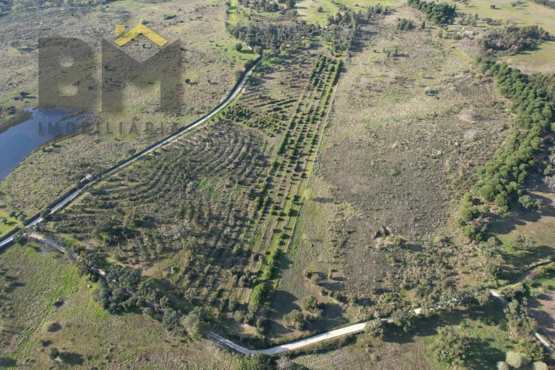 Terreno Agricola ou Rústico para Venda em Aldeia do Bispo, Águas e Aldeia de João Pires Foto 2