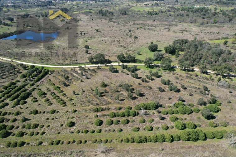 Terreno Agricola ou Rústico para Venda em Aldeia do Bispo, Águas e Aldeia de João Pires Foto 8