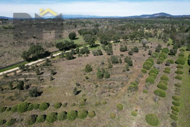 Terreno Agricola ou Rústico para Venda em Aldeia do Bispo, Águas e Aldeia de João Pires Foto 4