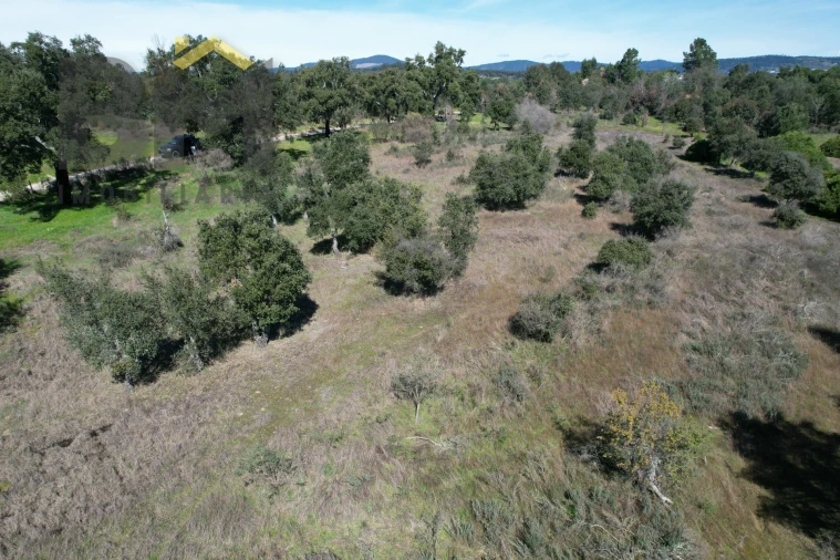 Terreno Agricola ou Rústico para Venda em Aldeia do Bispo, Águas e Aldeia de João Pires Foto 5
