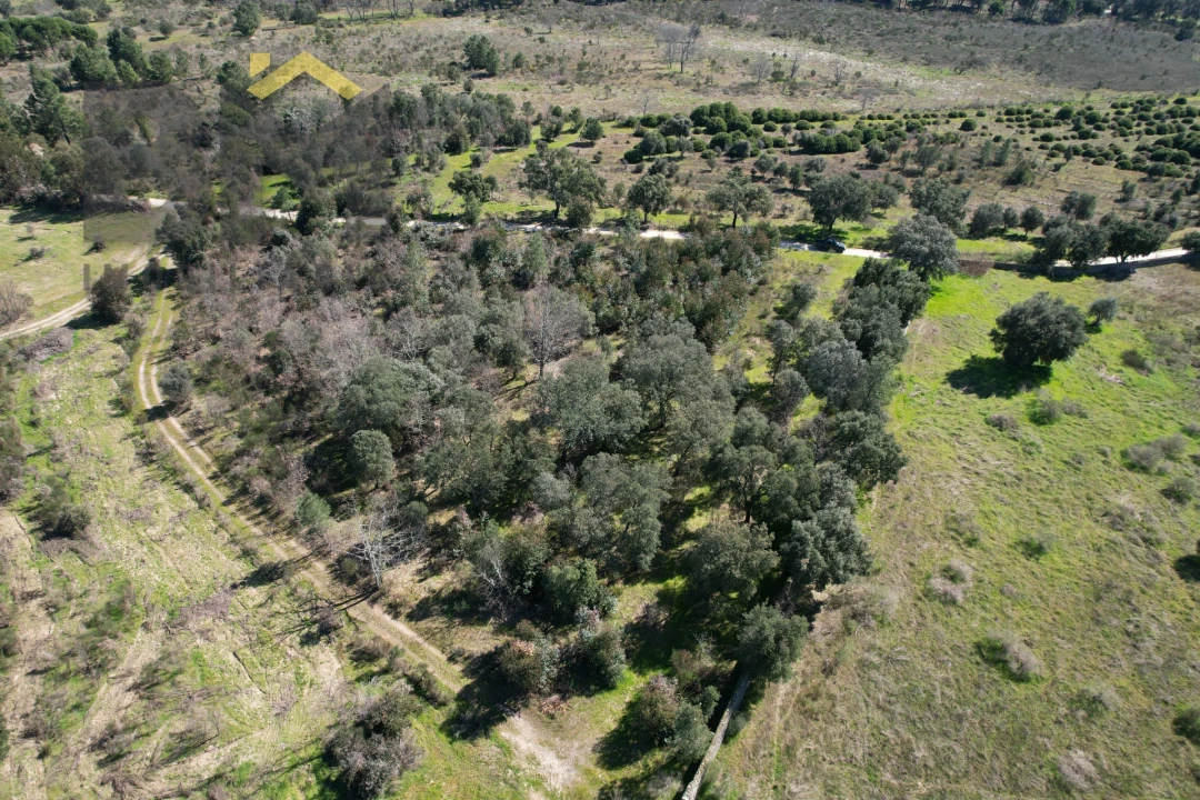 Terreno Agricola ou Rústico para Venda em Aldeia do Bispo, Águas e Aldeia de João Pires Foto 3