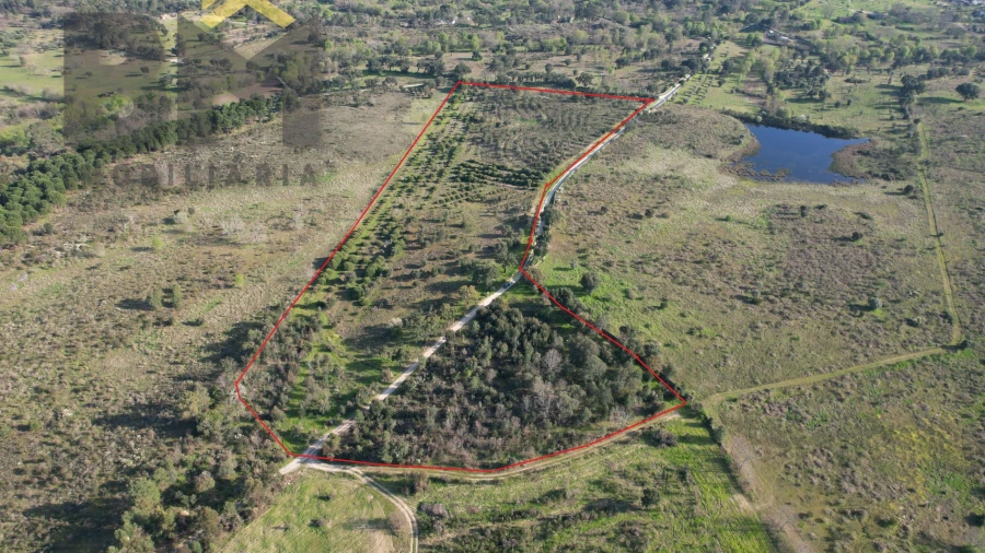 Terreno Agricola ou Rústico para Venda em Aldeia do Bispo, Águas e Aldeia de João Pires