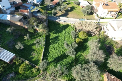 Terreno para Venda em Salgueiro do Campo