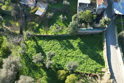 Terreno para Venda em Salgueiro do Campo