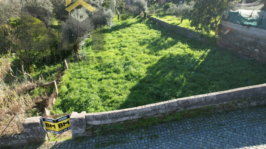 Terreno para Venda em Salgueiro do Campo
