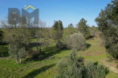 Terreno Agricola ou Rústico para Venda em Aldeia do Bispo, Águas e Aldeia de João Pires