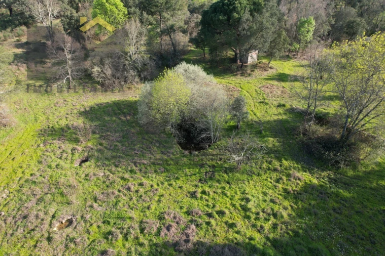 Terreno Agricola ou Rústico para Venda em Aldeia do Bispo, Águas e Aldeia de João Pires Foto 5