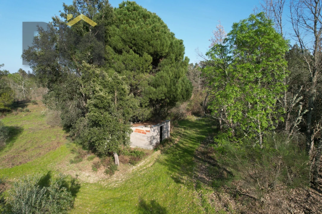 Terreno Agricola ou Rústico para Venda em Aldeia do Bispo, Águas e Aldeia de João Pires Foto 7