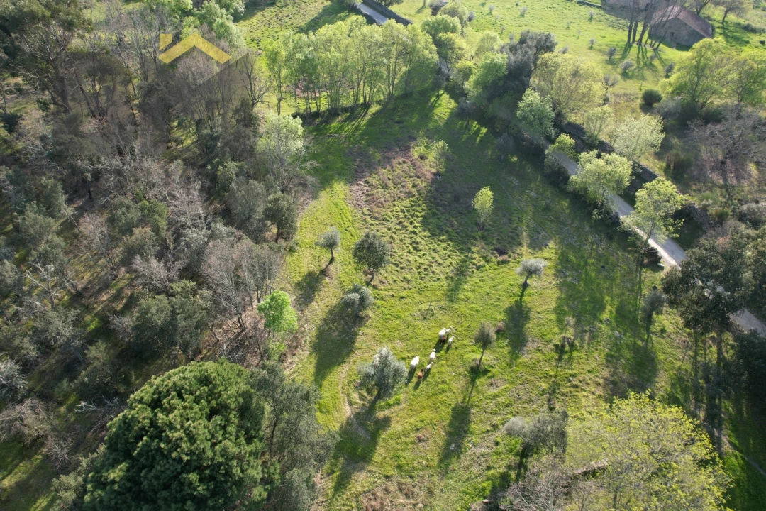 Terreno Agricola ou Rústico para Venda em Aldeia do Bispo, Águas e Aldeia de João Pires Foto 4