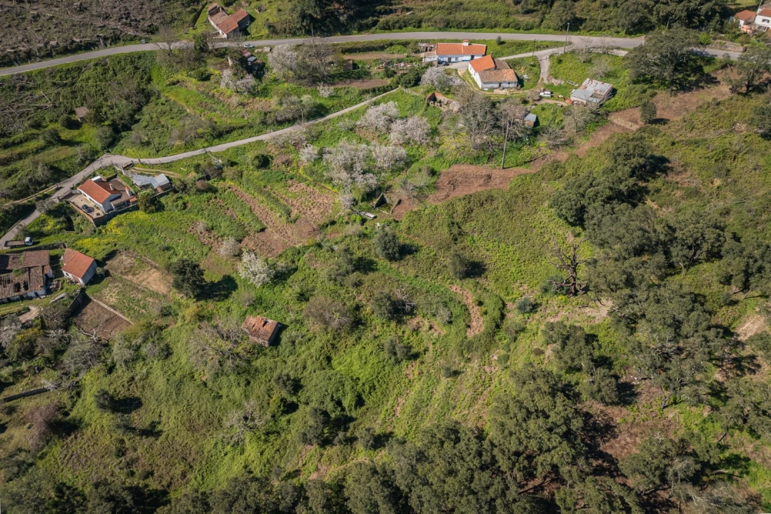 Quinta T1 para Venda em Monchique Foto 10