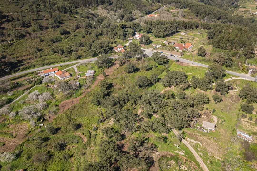 Quinta T1 para Venda em Monchique Foto 5