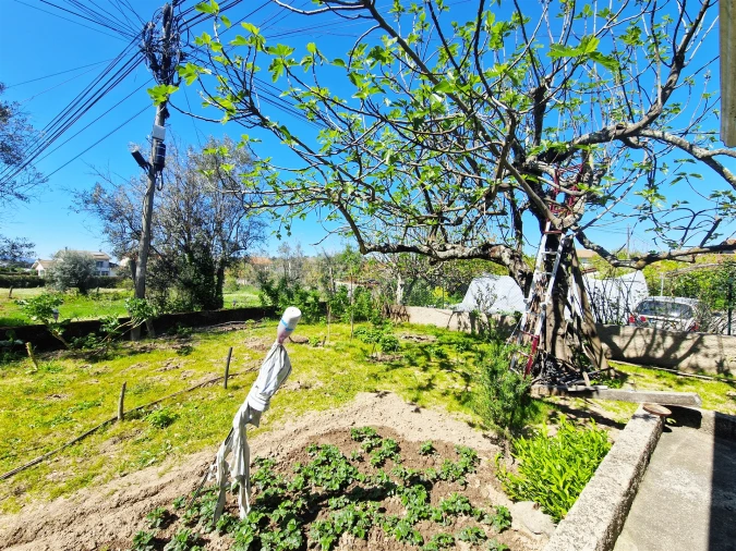 Moradia T4 para Venda em Repeses e São Salvador Foto 54
