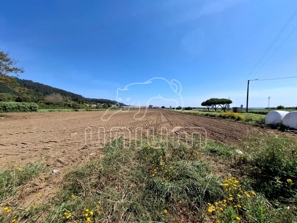 Terreno para Venda em Carreço Foto 1