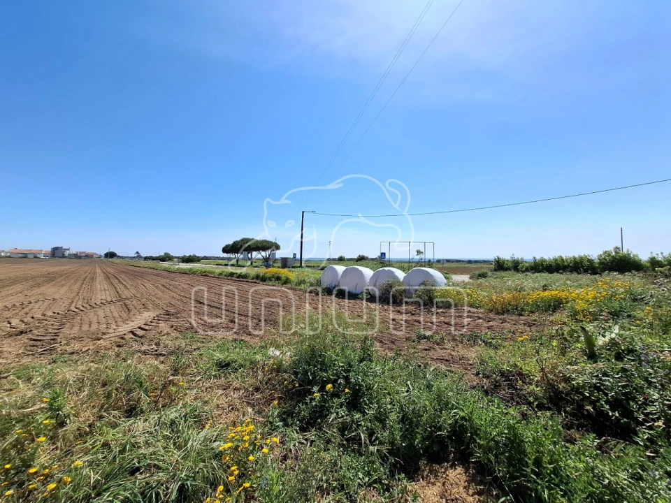 Terreno para Venda em Carreço Foto 2
