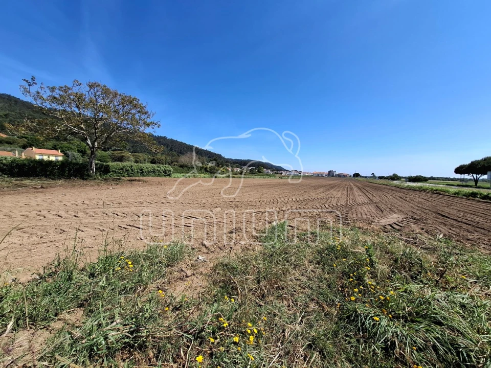 Terreno para Venda em Carreço Foto 3