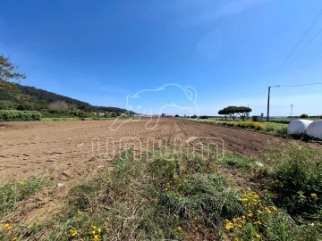 Terreno para Venda em Carreço