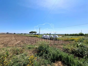 Terreno para Venda em Carreço