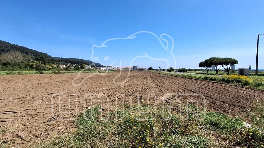 Terreno para Venda em Carreço