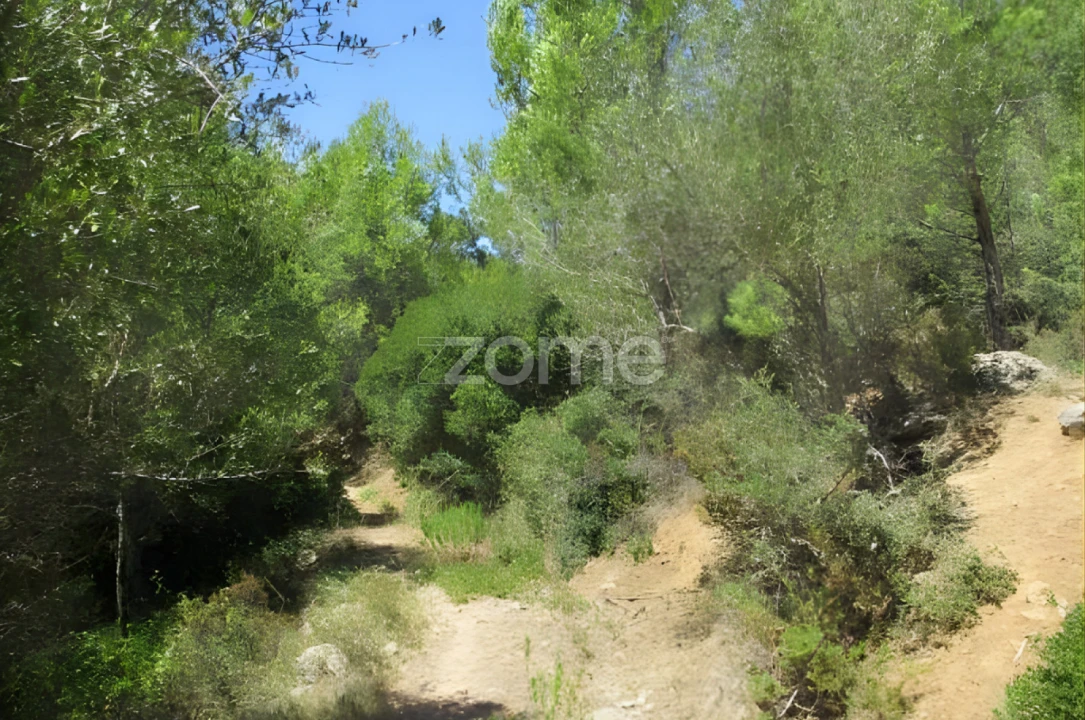 Terreno para Venda em Alcabideche Foto 37