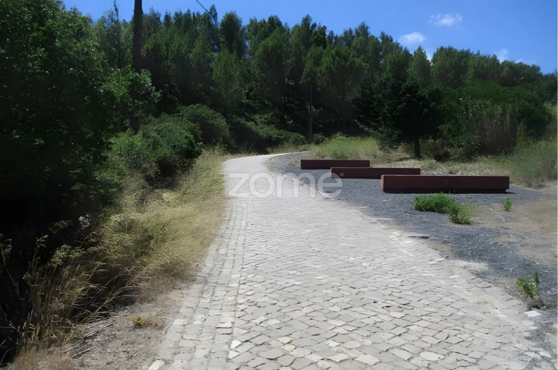 Terreno para Venda em Alcabideche Foto 44