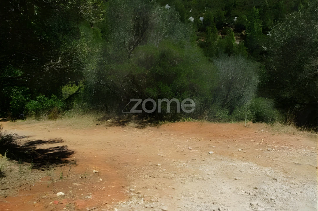 Terreno para Venda em Alcabideche Foto 26