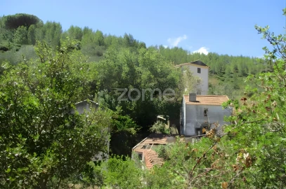 Terreno para Venda em Alcabideche