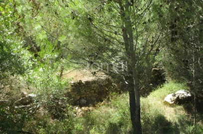 Terreno para Venda em Alcabideche
