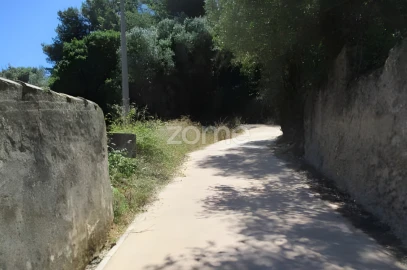 Terreno para Venda em Alcabideche