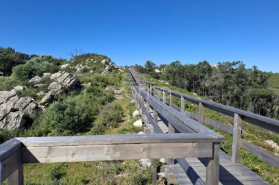 Terreno para Venda em Alcabideche