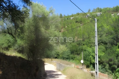 Terreno para Venda em Alcabideche