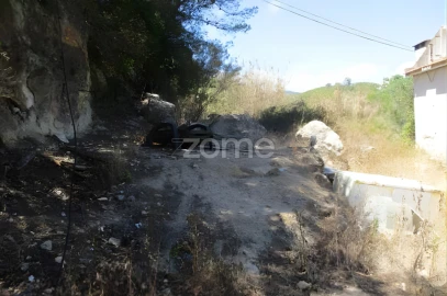 Terreno para Venda em Alcabideche