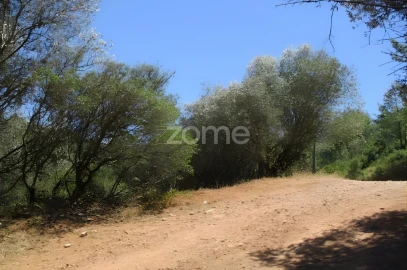 Terreno para Venda em Alcabideche