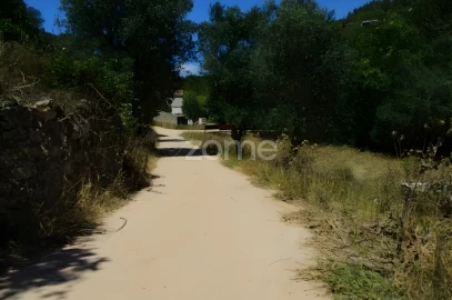 Terreno para Venda em Alcabideche