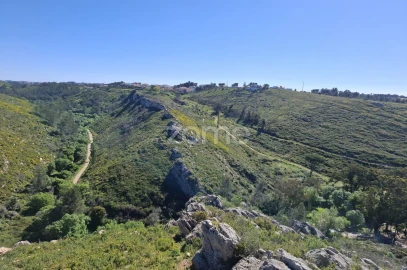 Terreno para Venda em Alcabideche