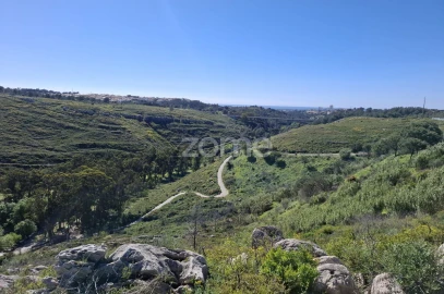 Terreno para Venda em Alcabideche