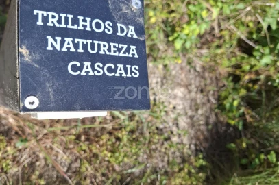 Terreno para Venda em Alcabideche