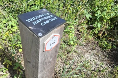 Terreno para Venda em Alcabideche