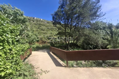 Terreno para Venda em Alcabideche