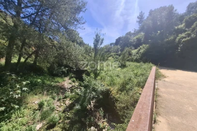 Terreno para Venda em Alcabideche