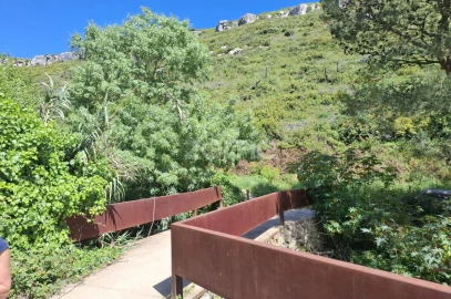 Terreno para Venda em Alcabideche