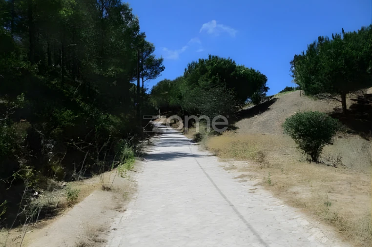 Terreno para Venda em Alcabideche Foto 48