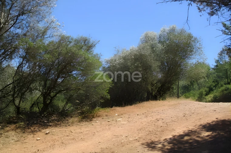 Terreno para Venda em Alcabideche Foto 28
