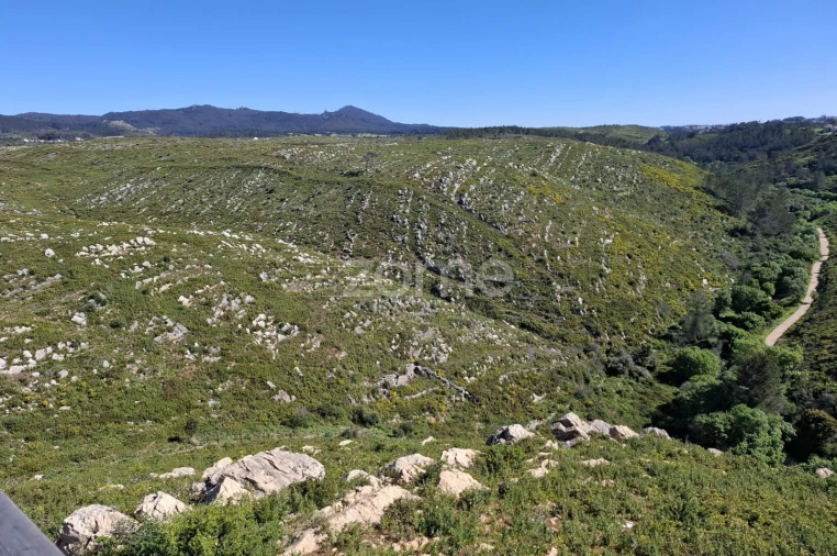 Terreno para Venda em Alcabideche Foto 16