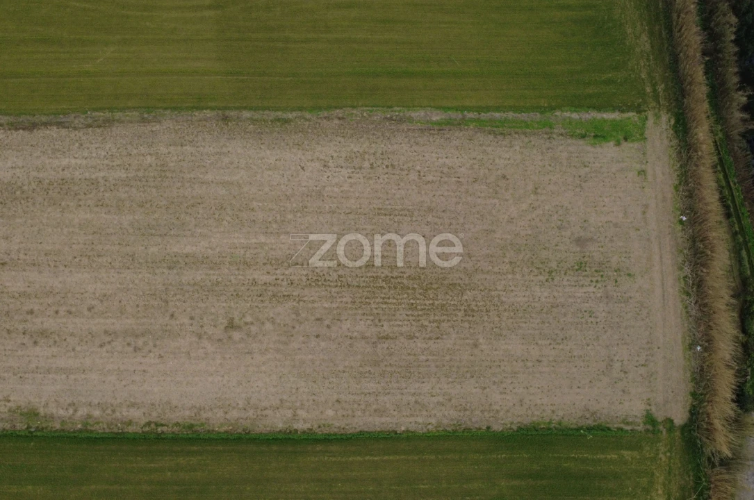 Terreno para Venda em Capelas Foto 5