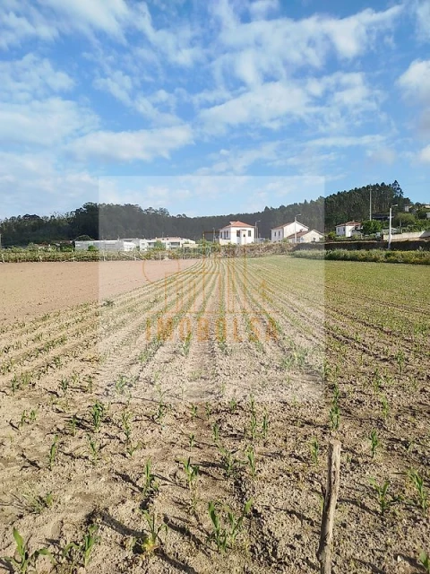 Terreno para Venda em Macieira da Maia