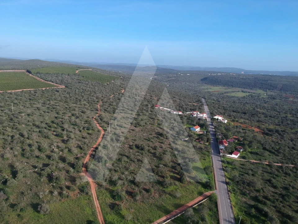 Terreno para Venda em Querença, Tôr e Benafim Foto 6